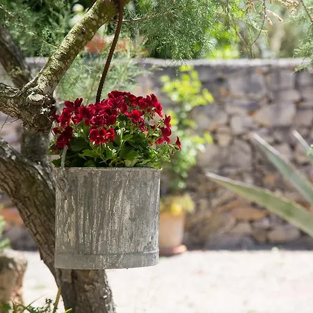 Dei Sogni Gallipoli Villa *