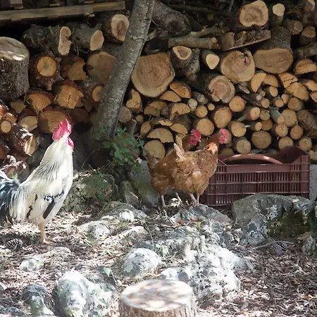 Dei Sogni Gallipoli Villa *