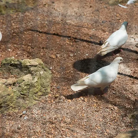 别墅 Dei Sogni Gallipoli 图列