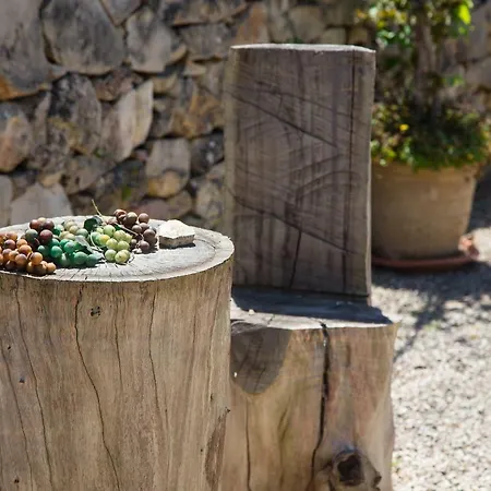 Dei Sogni Gallipoli 别墅